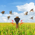 Wasserdichter Solar-Vogelscheuchen-Alarm - SolarSafe