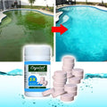 Kapseln zur Reinigung und Klärung von Pools - Tabletten gegen Grünes Wasser