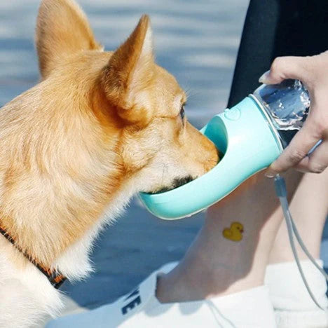 4-in-1 Tragbare Flasche für Haustiere - PetWater