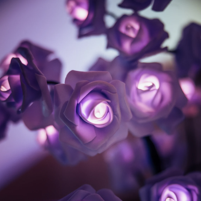 Leuchte Ewiger Rosenbaum - ForeverGlow