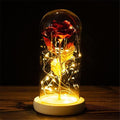 Ewige Rosen-Lampe in Glaskuppel - BloomLight