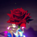 Ewige Rosen-Lampe in Glaskuppel - BloomLight