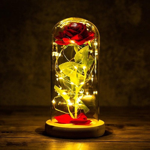 Ewige Rosen-Lampe in Glaskuppel - BloomLight