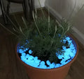 Magische Gartensteine - Magic Stone
