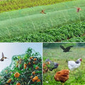 Vogelschutznetz für Garten und Pflanzen