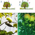 Vogelschutznetz für Garten und Pflanzen
