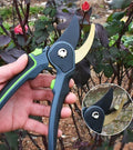 Professionelle Gartenschere zum Beschneiden