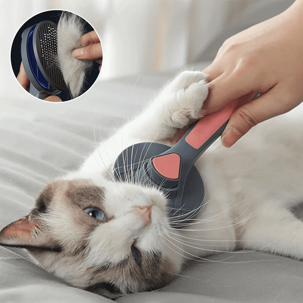 Bürste zum Entfernen von Hundehaaren, Bürste zum Entfernen von Katzenhaaren, Tierhaarentferner Hund, Bürste zum Entfernen von Hundehaaren, Tierhaarentferner Katze, Bürste zum Entfernen von Katzenhaaren, Tierhaarentferner für Kleidung, Tierhaarentferner, bester Tierhaarentferner, Tierhaar-Entfernungsbürste Shopee, Tierhaar-Entfernungsbürste Kleidung, Tierhaar-Entfernungsbürste Katze