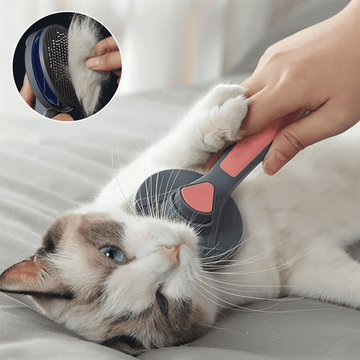 Bürste zum Entfernen von Hundehaaren, Bürste zum Entfernen von Katzenhaaren, Tierhaarentferner Hund, Bürste zum Entfernen von Hundehaaren, Tierhaarentferner Katze, Bürste zum Entfernen von Katzenhaaren, Tierhaarentferner für Kleidung, Tierhaarentferner, bester Tierhaarentferner, Tierhaar-Entfernungsbürste Shopee, Tierhaar-Entfernungsbürste Kleidung, Tierhaar-Entfernungsbürste Katze