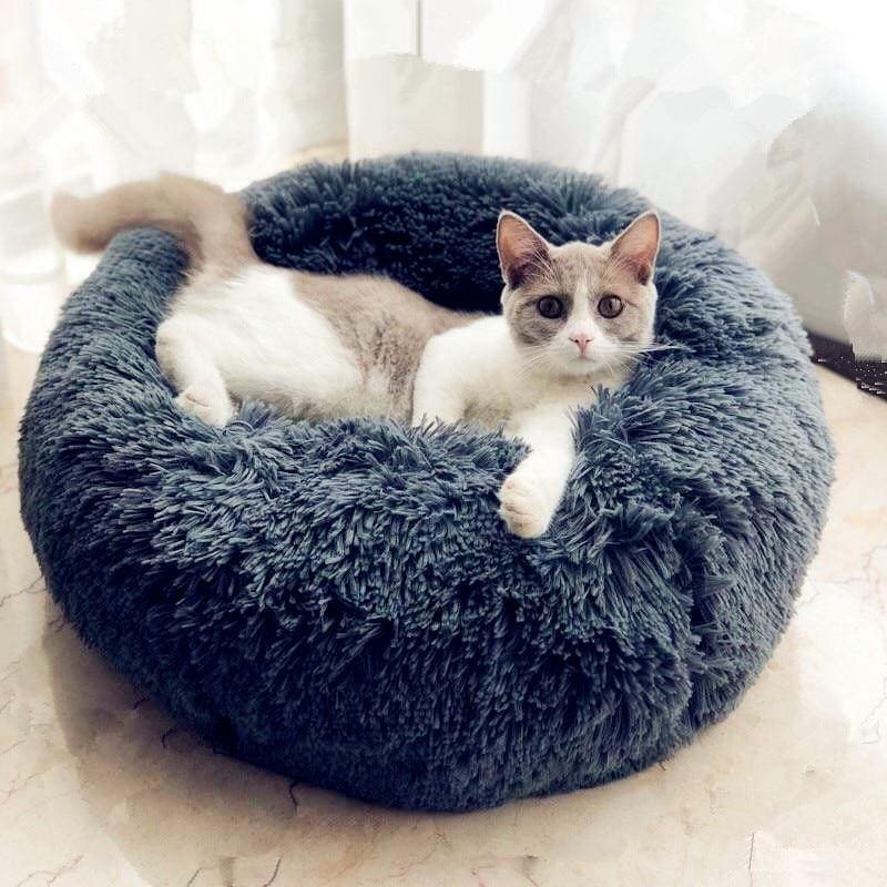 günstige Katzenbetten, Katzenbett, Katzenkörbchen, Hundebett groß, Hundekörbchen, Haustierbett, Katzenkörbchen, Hundebett, Hundebett, Hundekörbchen, Haustierbett, Wolkenbett, Wolken-Haustierkörbchen, Haustier-Wolkenbett, Wolkenkörbchen, Hundekörbchen klein Preis, günstiges Hundebett kostenloser Versand, Luxus-Haustierbetten, Hundebetten große Rasse robust