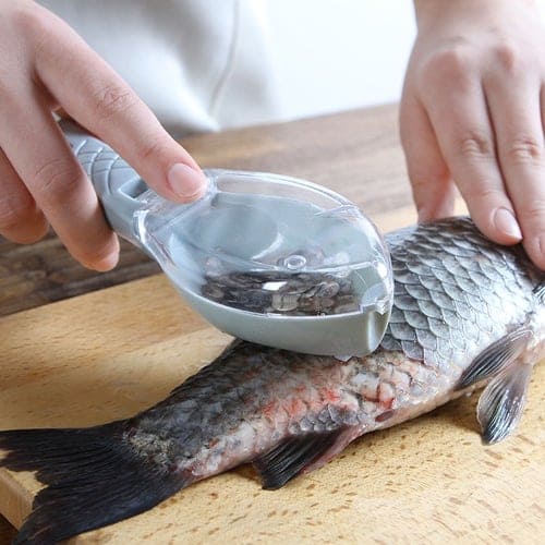 Fischschuppenentferner, Fischschuppen entfernen, Fischschuppen entfernen, Fischschuppenentferner, wie man Fischschuppen entfernt