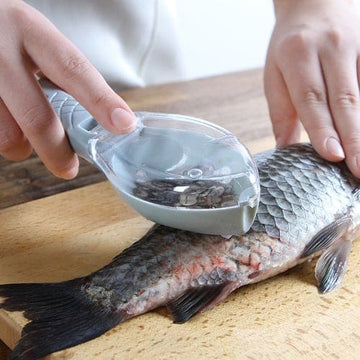 Fischschuppenentferner, Fischschuppen entfernen, Fischschuppen entfernen, Fischschuppenentferner, wie man Fischschuppen entfernt